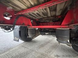 FLIEGL SDS 390 Plattform Nachlaufgelenkt