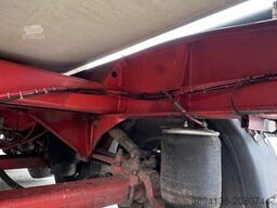 FLIEGL SDS 390 Plattform Nachlaufgelenkt