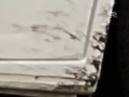 Fiat Weinsberg Carabus 600 K 4 Schlafplätze | Voll ausgestattet