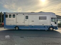 Iveco Eurocargo Iveco STX paardevrachtwagen voor 5 pa...