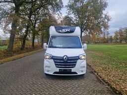Renault Master STX S3 Pro-Safety hengsten uitvoering pa...