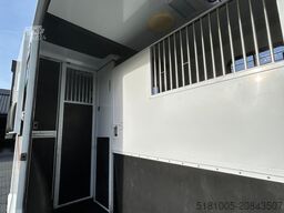 Renault Master MTM S5L paardenwagen Pro-Safety hengsten...