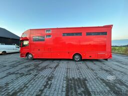 Mercedes Atego Mercedes Atego STX 5 Paards super conditie.