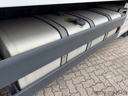 MAN TGX26.440 Kühlkoffer Frigoblock