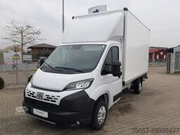 FIAT Ducato L4 LBW