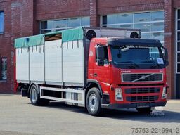 Volvo FM 300 4x2 - Livestock 1 deck - Ventilation - E...