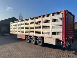 Berdex Newnion 4 stock livestock Type2 liftaxle 2