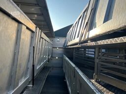 Berdex Newnion 4 stock livestock Type2 liftaxle 2