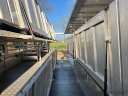 Berdex Newnion 4 stock livestock Type2 liftaxle 2