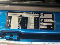 DAF FAS 105 XF 460 Autotransporter