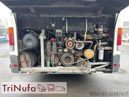 SETRA S 319 UL | Klima | Schaltgtr. | 354 PS |