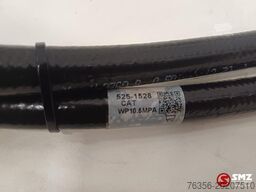 Caterpillar Hose Caterpillar