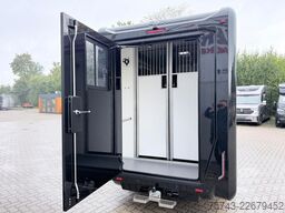 RENAULT Master STX 5 Sitzer Haras ex. Lang Automatik