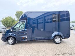 FORD Transit STX  Haras 1-2 Pferde