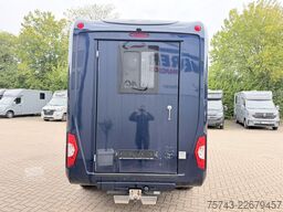 FORD Transit STX  Haras 1-2 Pferde