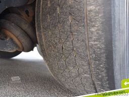 SCHWARZMÜLLER Palettenkasten Liftachse Hubdach SAF Achsen TÜV