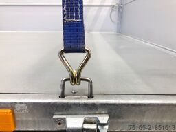 Cheval Liberte Debon PW1.2E Lux E-Pumpe BW-Aufsatz Rückwärtskipper