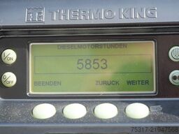 SCHMITZ CARGOBULL SKO 24/TK SLX i 300/DOPPELSTOCK /BLUMEN/LBW 2000