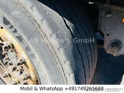 SCHMITZ CARGOBULL SKO 24/13.4 FP60 Cool *Carrier-Vector-1950/+-30°