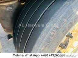 SCHMITZ CARGOBULL SKO 24/13.4 FP60 Cool *Carrier-Vector-1950/+-30°