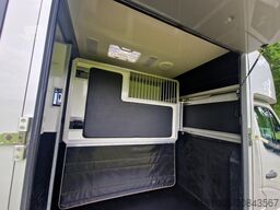 Opel Movano Occasion paardenwagen AKX S3 Pro-Safety ...
