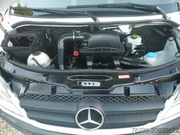 MERCEDES-BENZ 513 CDI Sprinter 313 Maxi Pritsche AHK 3,5 t