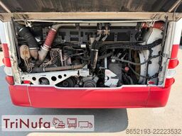 MAN A20 | Klima | Retarder | 44 Sitze |