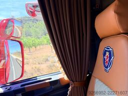 SCANIA R 450