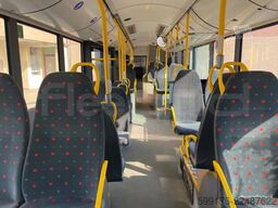 Solaris Urbino