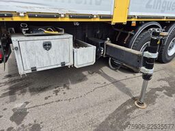 Scania P