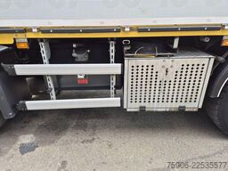 Scania P