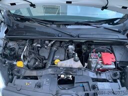 Renault Kangoo Van  con Giraffone