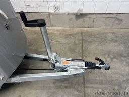 Böckmann Comfort Esprit sil+bl Sonder D Pferdeanhänger