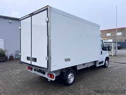 PEUGEOT rtküor NEU!!!