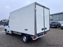 PEUGEOT rtküor NEU!!!