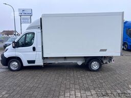 PEUGEOT rtküor NEU!!!