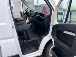 PEUGEOT rtküor NEU!!!