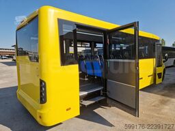 Iveco Indcar Wing