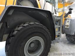 LIEBHERR L580XPower