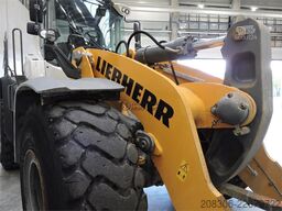 LIEBHERR L580XPower