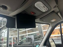 Renault Master Haras 1-2 Pferde Automatik Aluaufbau