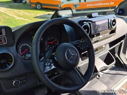 MERCEDES-BENZ 517 Lord Comfort XXL Vorlauffahrzeug 23 SS