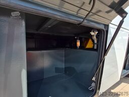 TEMSA Temsa  Prestij SX,Novo Lux, Daily, Atego