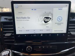 FORD Transit 350 L4 H3 Kasten LKW Trend 96 KW