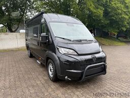 Camper  BRAVIA