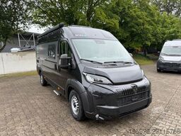 Camper  BRAVIA