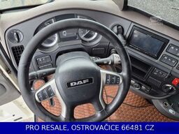 DAF XF 480 FT MEGA LD SSC EURO 6 + PARKCLIMA