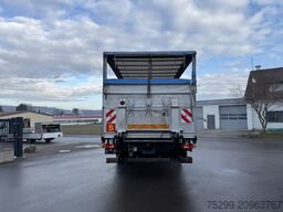 Renault D Wide 18.320 4x2 Plane/HB / Swiss-Vehicle