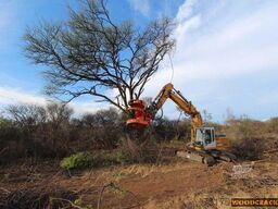 Westtech Woodcracker C550 Fällgreifer Baumschere