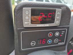 MERCEDES-BENZ 319 StockSprinter VIP Shuttle 9 SS  Panoramadach